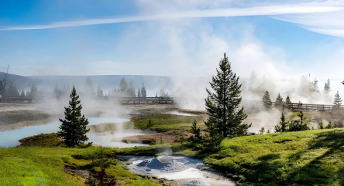 Earthshot Prize 2026: il progetto che salva gli animali collegando Yellowstone e Yukon